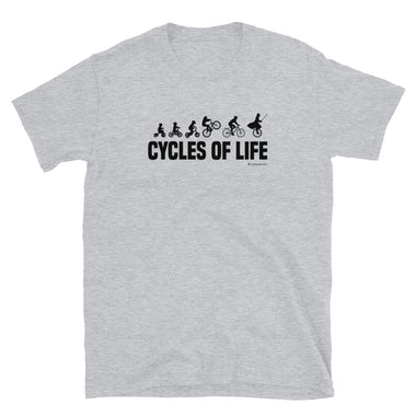 LifeCycles