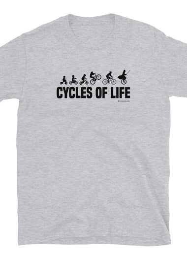 LifeCycles